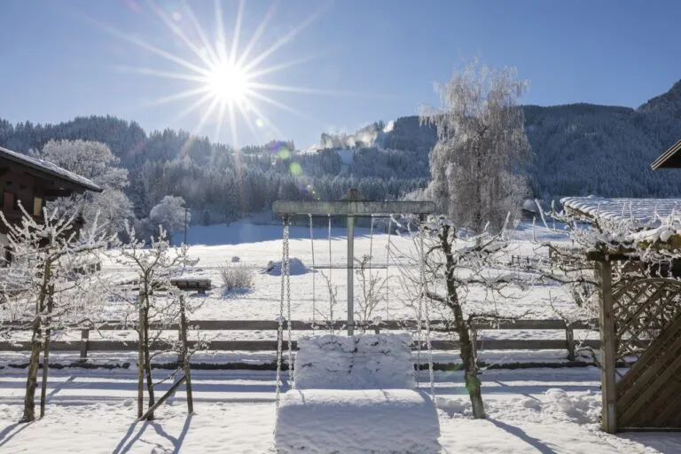 Winter